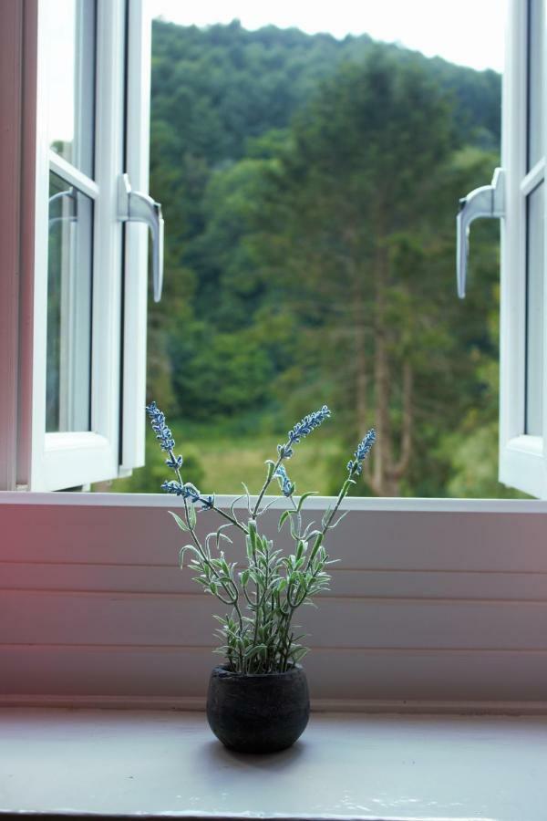 Inglewood House Bed & Breakfast มอนมัท ภายนอก รูปภาพ